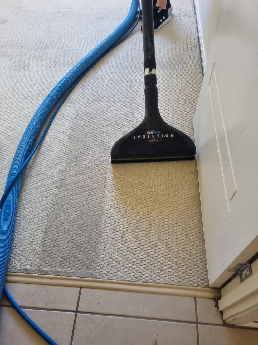 Carpet cleaning wand mid-pass, with the cleaned strip clearly lighter than the carpet beside it