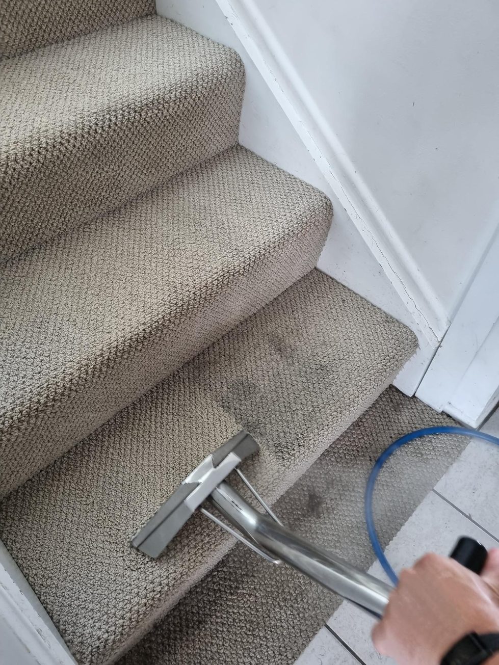 Stair carpet part-way through a clean, the cleaned tread clearly lighter than the one below it