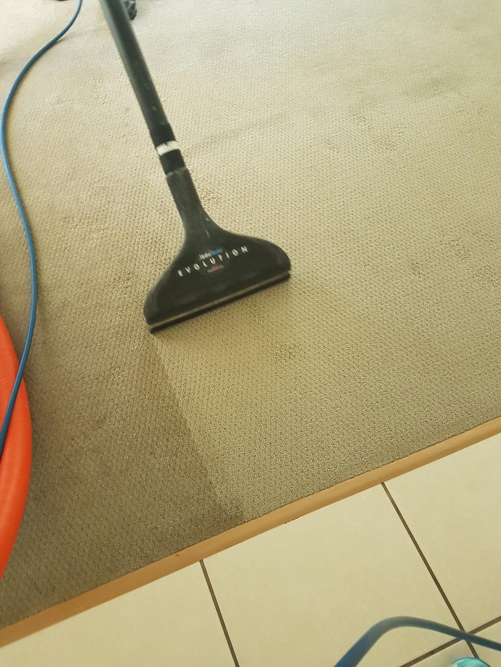 Carpet cleaning wand mid-pass on a bond clean, the cleaned strip clearly lighter than the carpet beside it