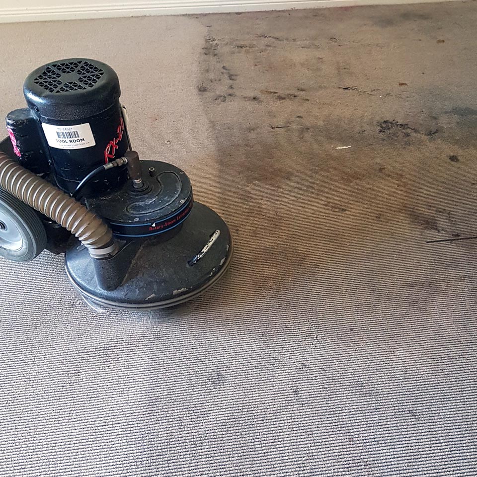 Bond clean in progress on an empty rental property