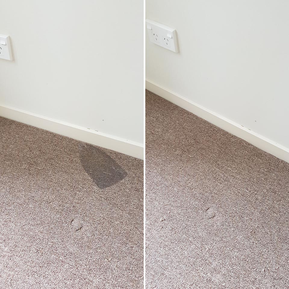 Carpet burn repair being patched